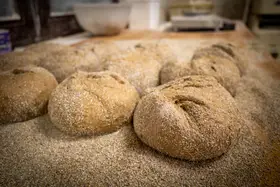 Frisch gebackene, mit Mehl bestäubte rustikale Brotlaibe der Bäckerei Schwabe