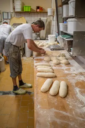 Bäcker formt Baguettes von Hand in der Backstube der Bäckerei Schwabe