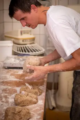 Hände kneten frischen Teig – echtes Bäckerhandwerk in der Backstube der Bäckerei Schwabe