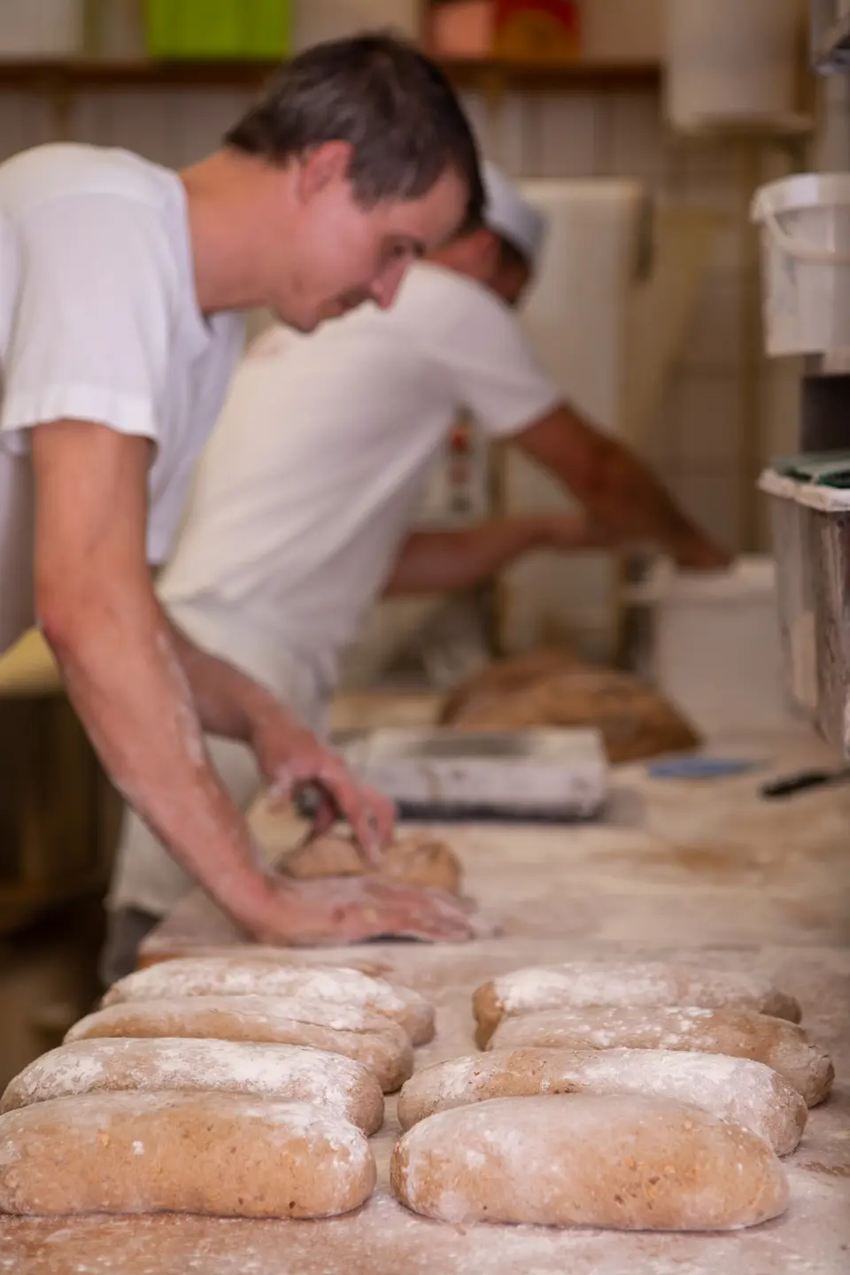 Bäcker formt frischen Teig auf der bemehlten Arbeitsfläche der Bäckerei Schwabe